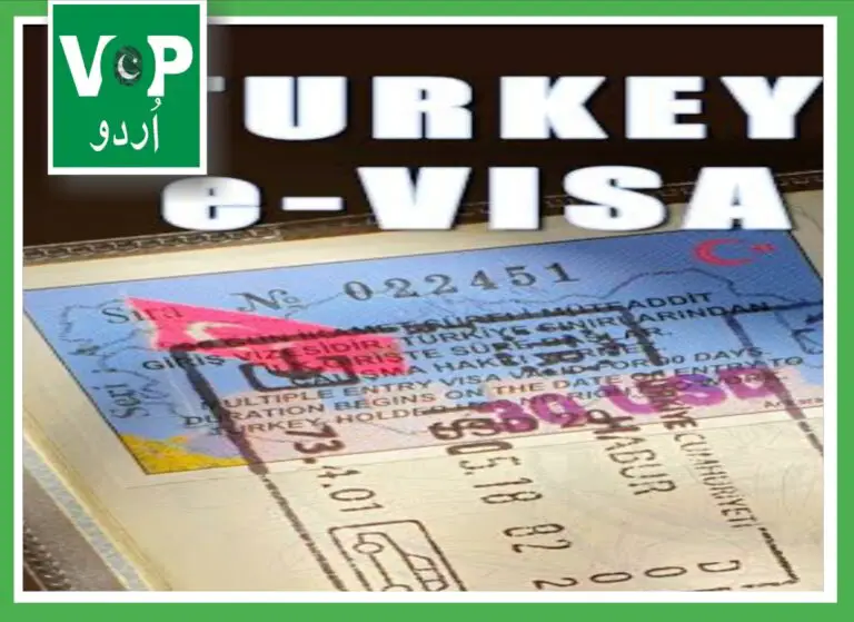 ترکی کا "ای ویزا" سسٹم